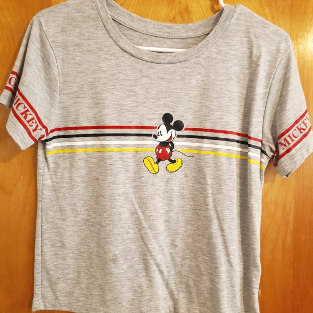Small disney crop top